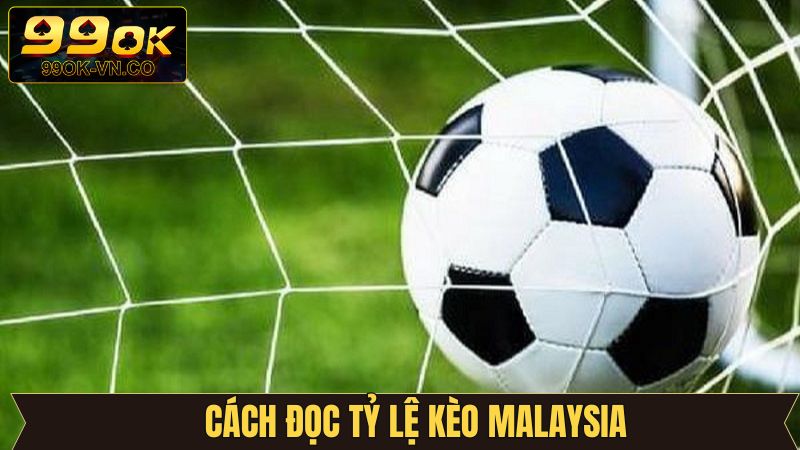 Kèo Malaysia - Cá Cược Thể Thao Hấp Dẫn Hơn Bao Giờ Hết 3 Hướng dẫn đọc kèo nhanh chóng cho người mới
